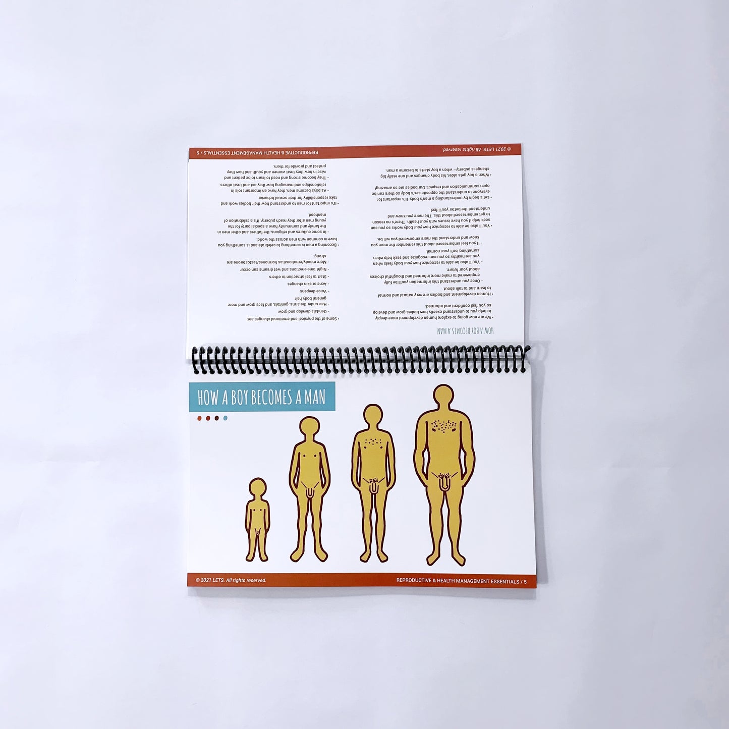 LETS Physical Flip Charts (English)