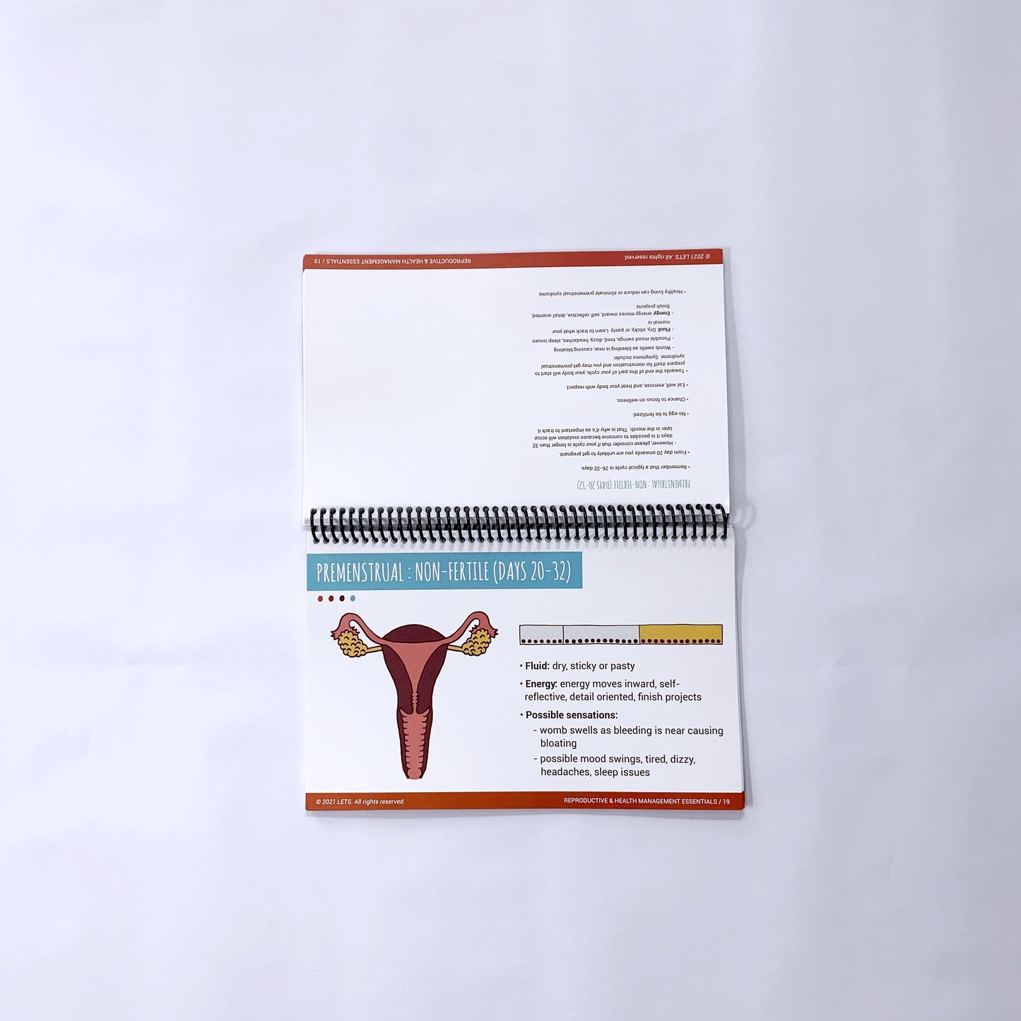LETS Physical Flip Charts (English)