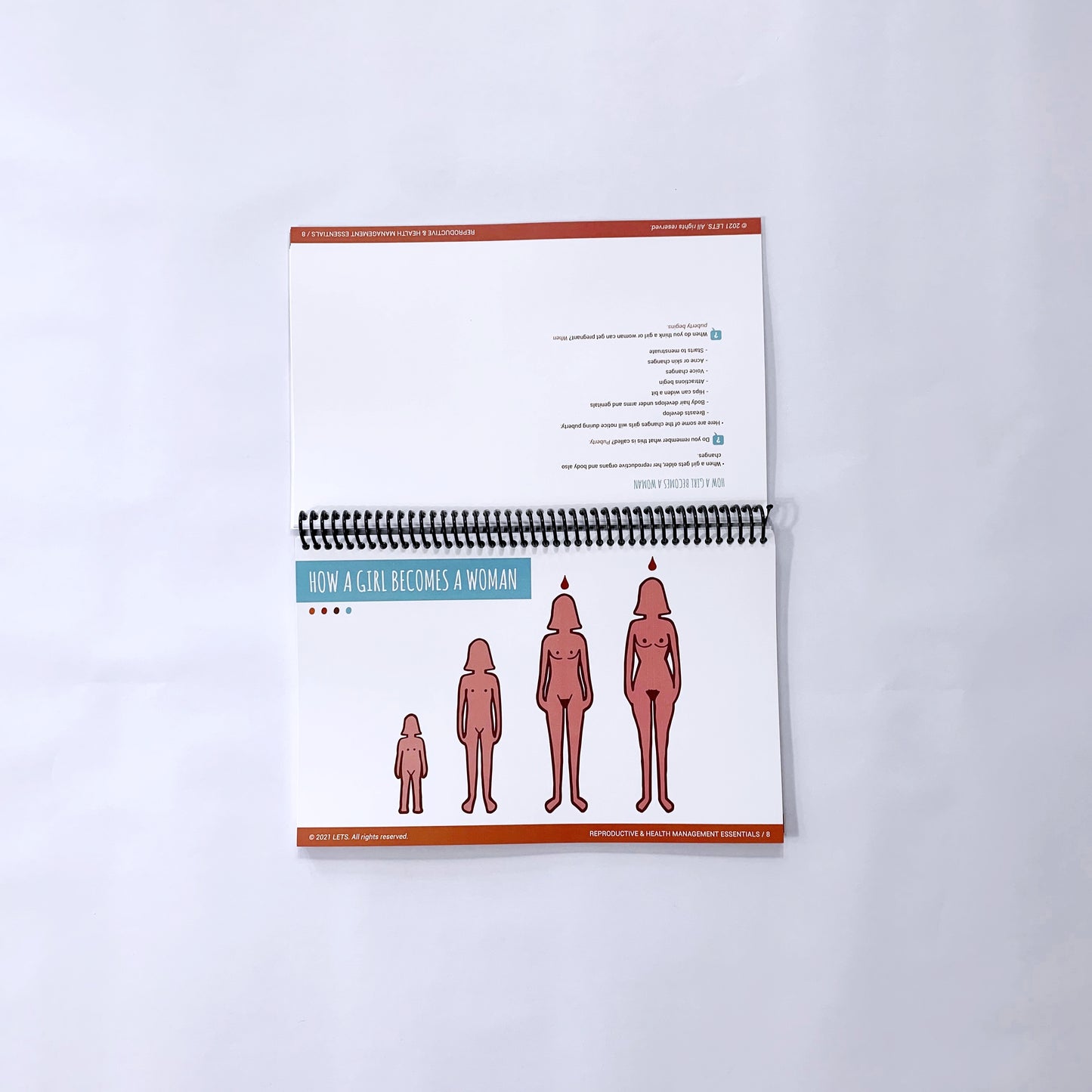 LETS Physical Flip Charts (English)