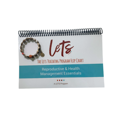 LETS Physical Flip Charts (English)