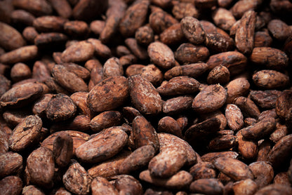 Forest Essence – Agua Blanca Reserve
