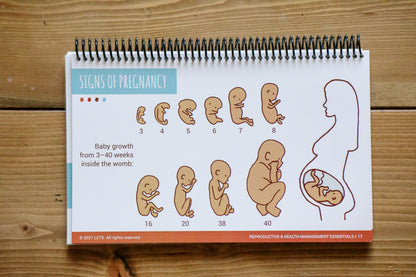 LETS Physical Flip Charts (English)