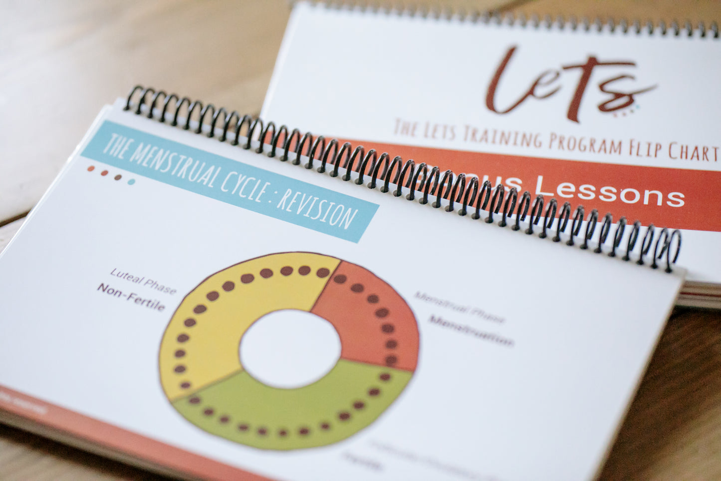 LETS Physical Flip Charts (English)